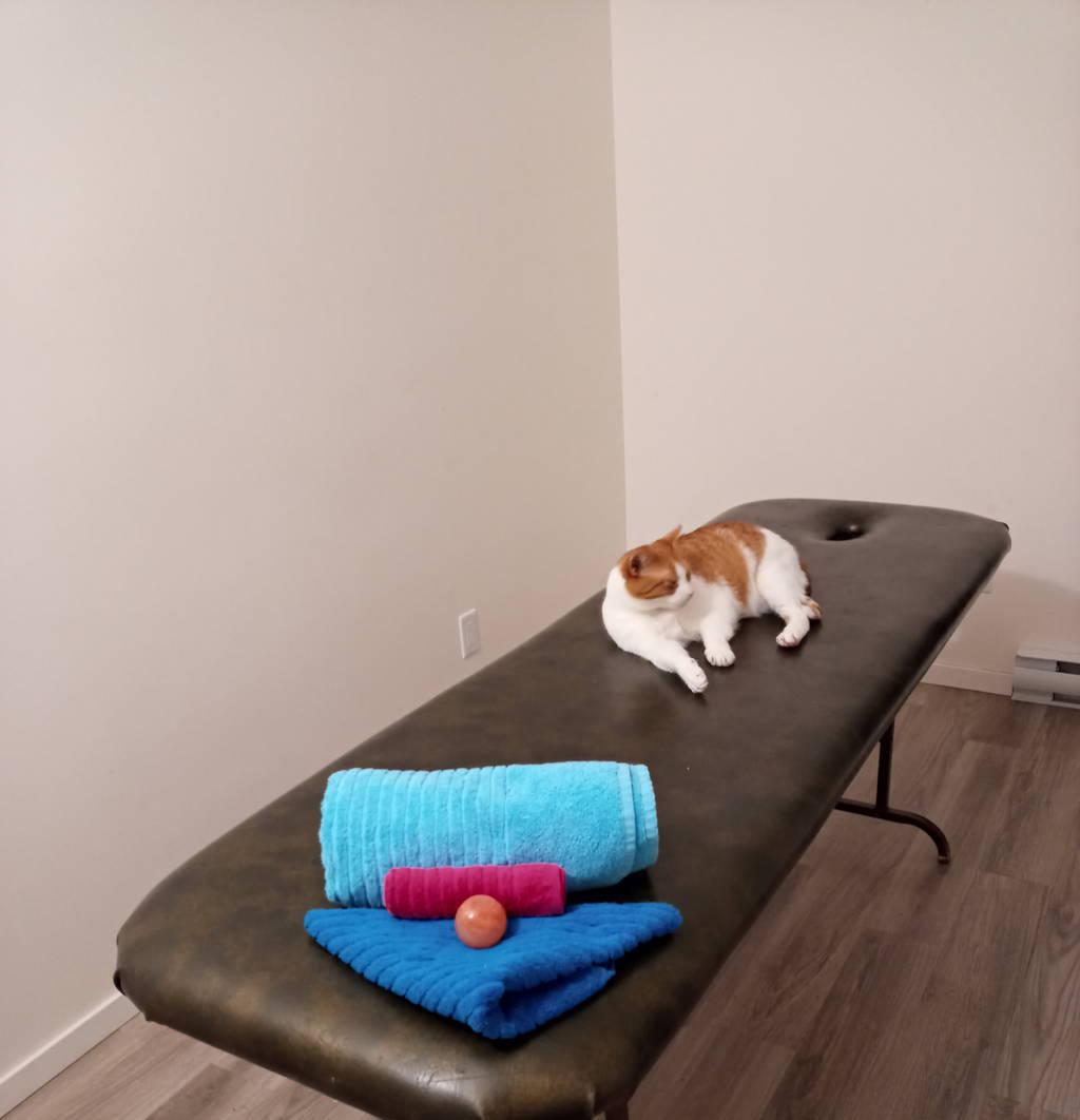 petite playmate / shiatsu massage new #