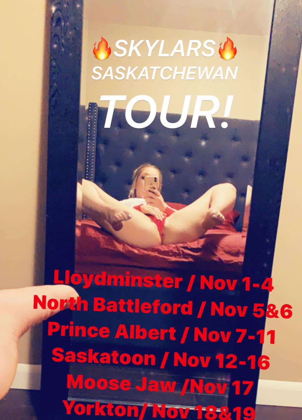 PRINCE ALBERT NOVEMBER 7-11!!!!